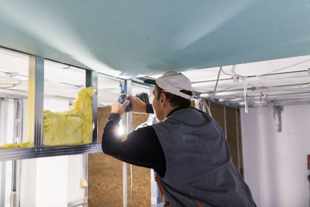 Best Home Insulation Services  in Trinity, NC