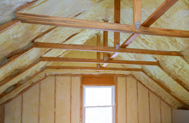 Best Energy-efficient Insulation  in Trinity, NC