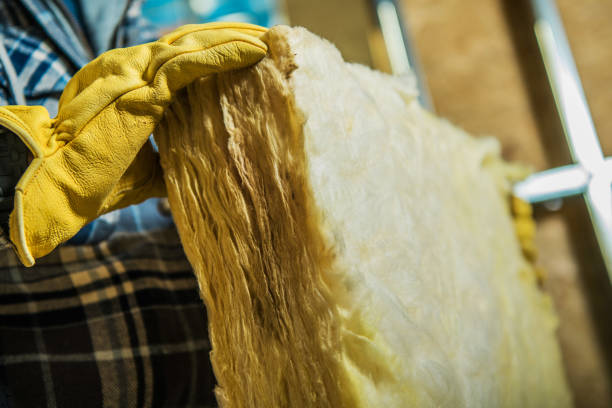 Best Attic Insulation Installation  in Trinity, NC