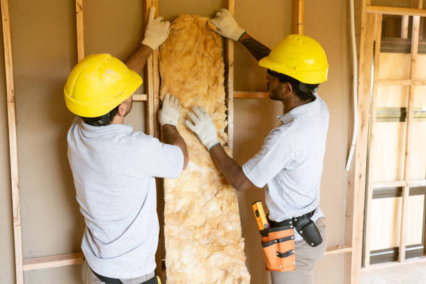 Best Spray Foam Insulation  in Trinity, NC