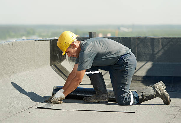 Best Local Insulation Services  in Trinity, NC