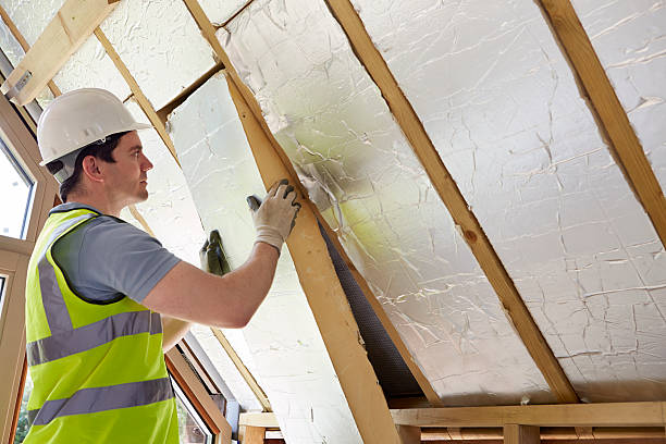 Best Insulation Replacement Services  in Trinity, NC