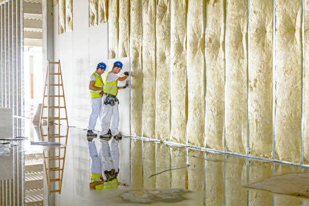 Best Insulation Inspection Services  in Trinity, NC